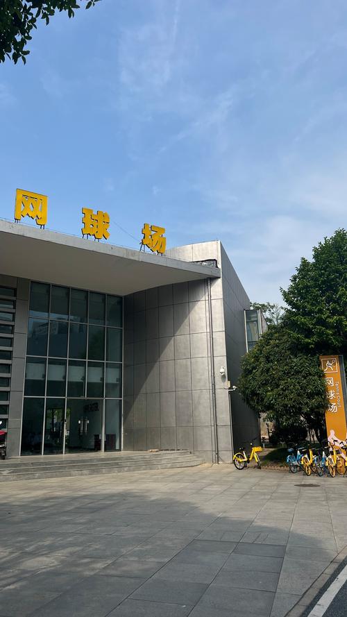 能以先锋换